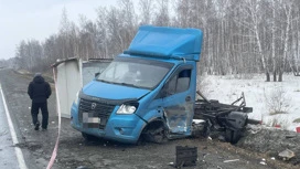 In the Chelyabinsk region in a head-on accident on the highway killed 24-year-old girl driver