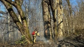 To extinguish the fire in Sochi began with a helicopter