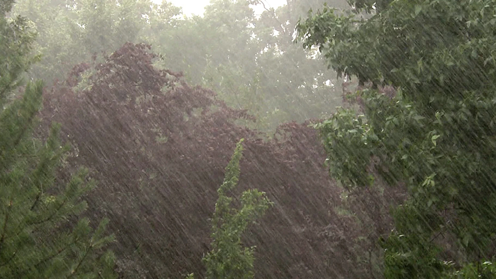 Gewitter und Regen werden in Sotschi erwartet