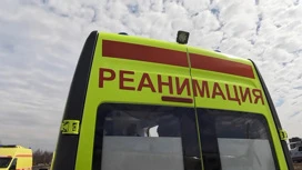 In St. Petersburg, a five-year-old boy died due to cardiac arrest after dinner