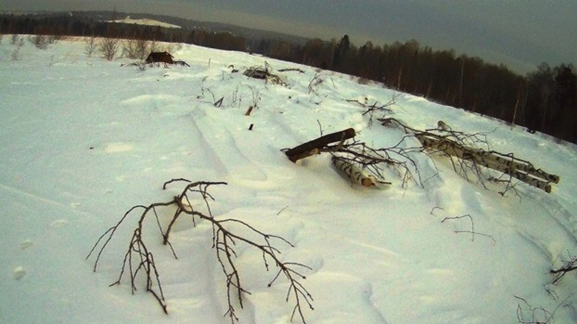 Новую свалку древесных отходов и металлолома обнаружили в окрестностях томского поселка Родионово