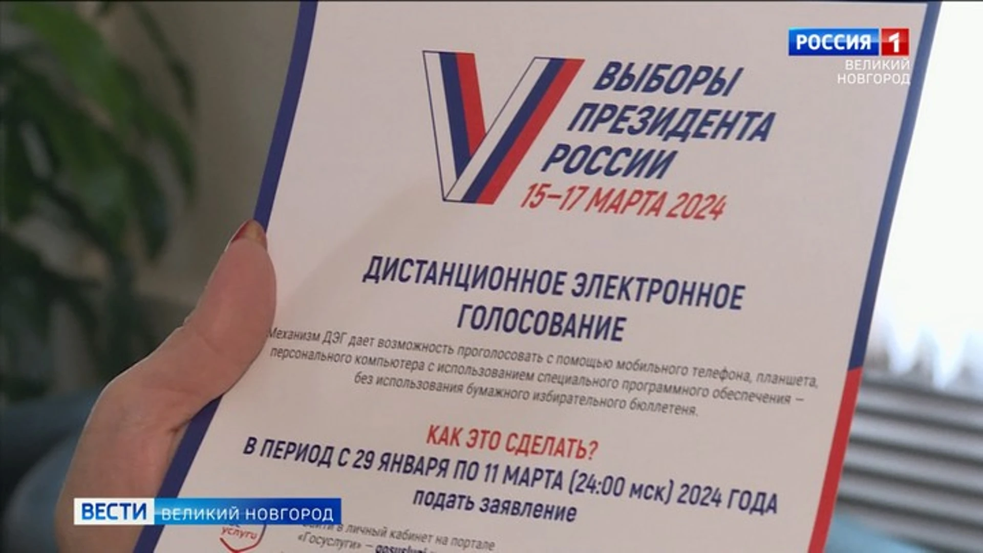 16245 жителей Новгородской области подали заявления для участия в ДЭГ на выборах