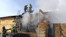 В Курганской области трое малышей погибли при пожаре в частном доме