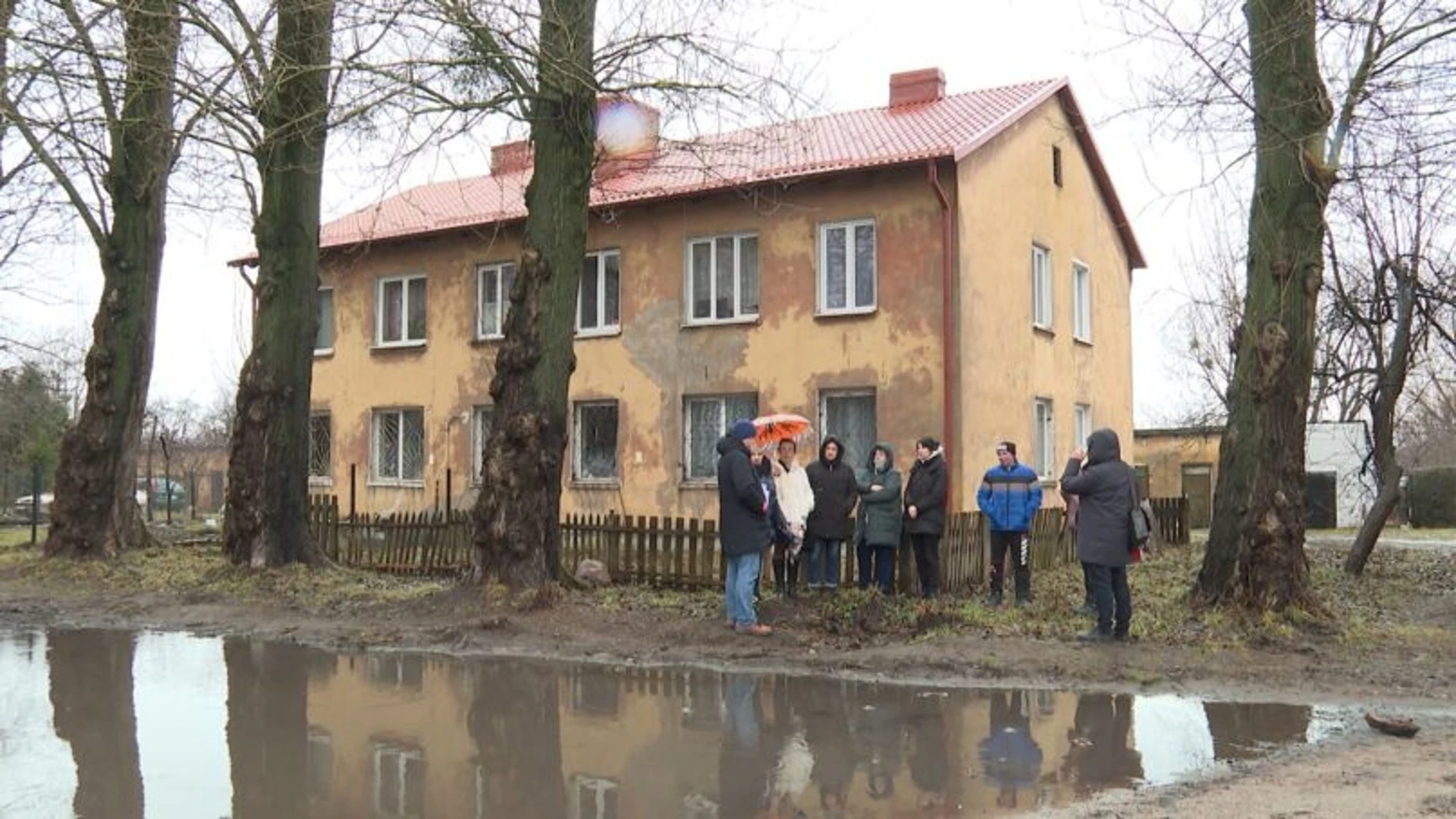 В Калининграде жителей многоквартирного дома могут заставить платить за поврежденную деревом машину