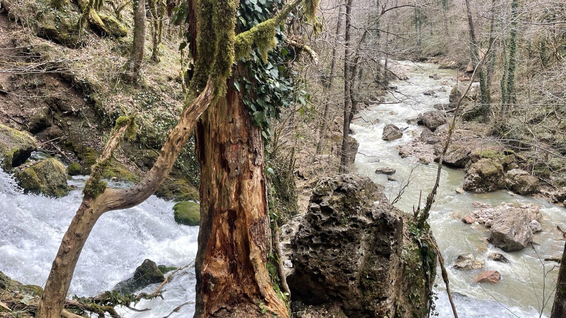 На Кубани ещё пару дней будет тепло