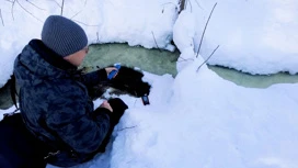 Fonte di solfuro di idrogeno trovato nel distretto di Ashinsky