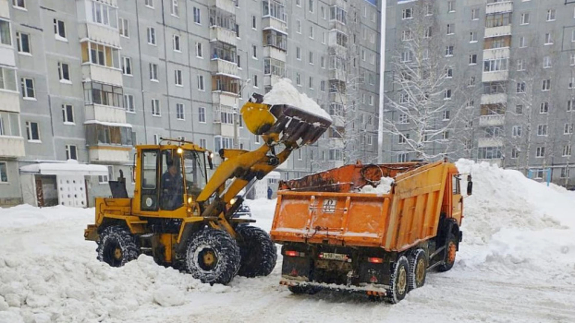 С начала зимнего сезона из Эжвы вывезено более 11 тысяч кубометров снега