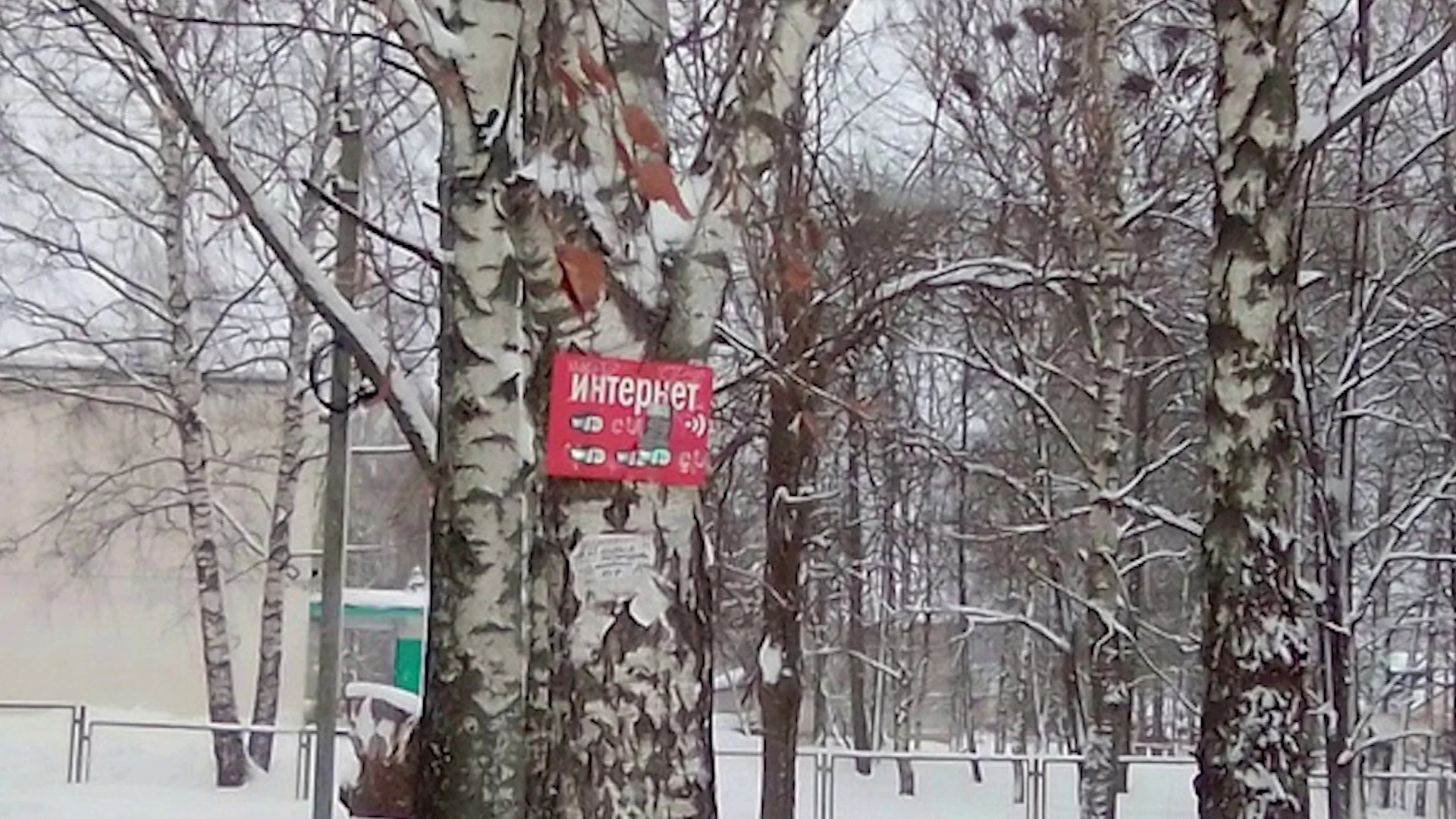 В Ярославской области с начала года выявили около 200 фактов незаконной расклейки объявлений