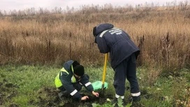 Тепличный комплекс под Липецком выплатит 1,4 млн за загрязнение почвы