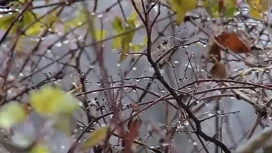 В Краснодарском крае пойдут дожди