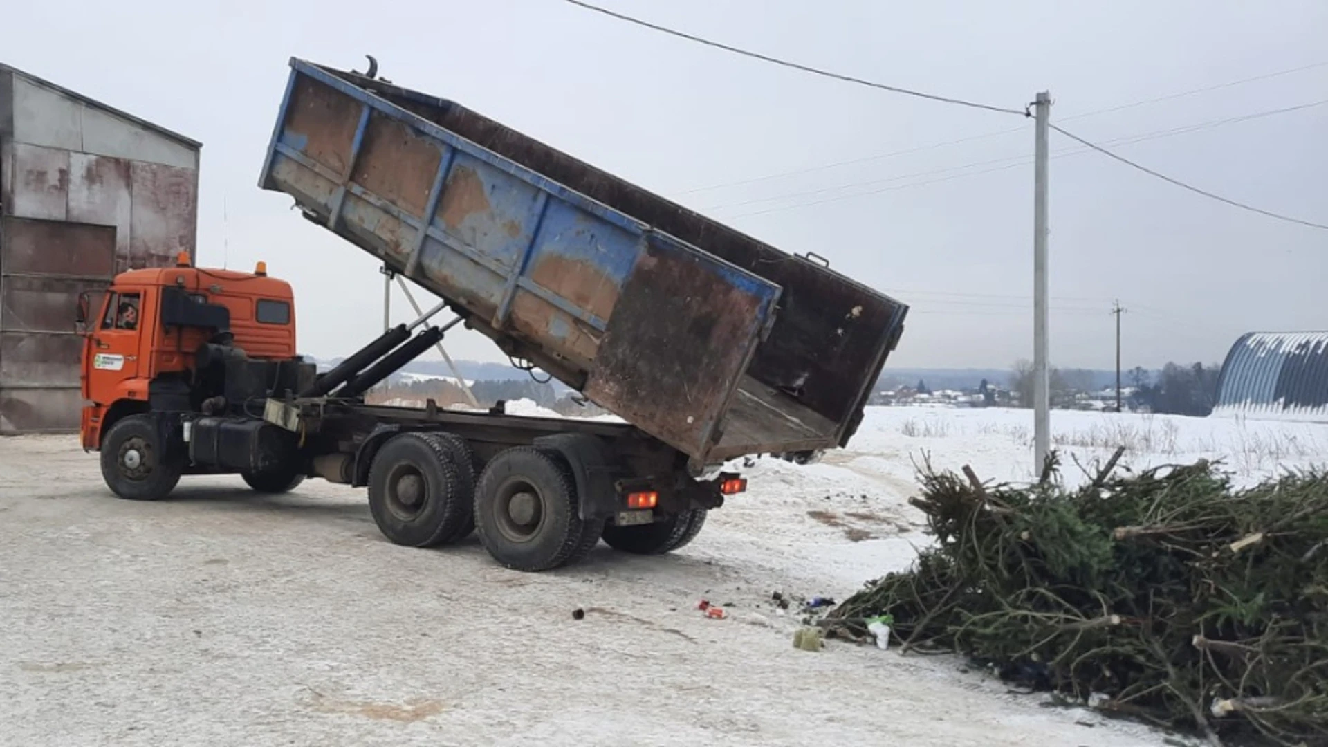 Более 30 кубометров новогодних елок вывезли с контейнерных площадок Томска