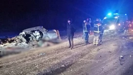 Teenagers and a man died in an accident on the highway in the Saratov region