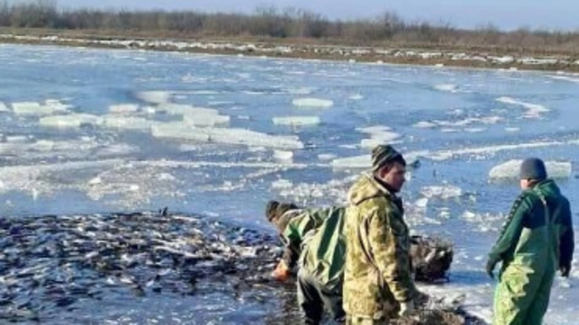 Астраханское прудовое предприятие обновило оборудование при господдержке