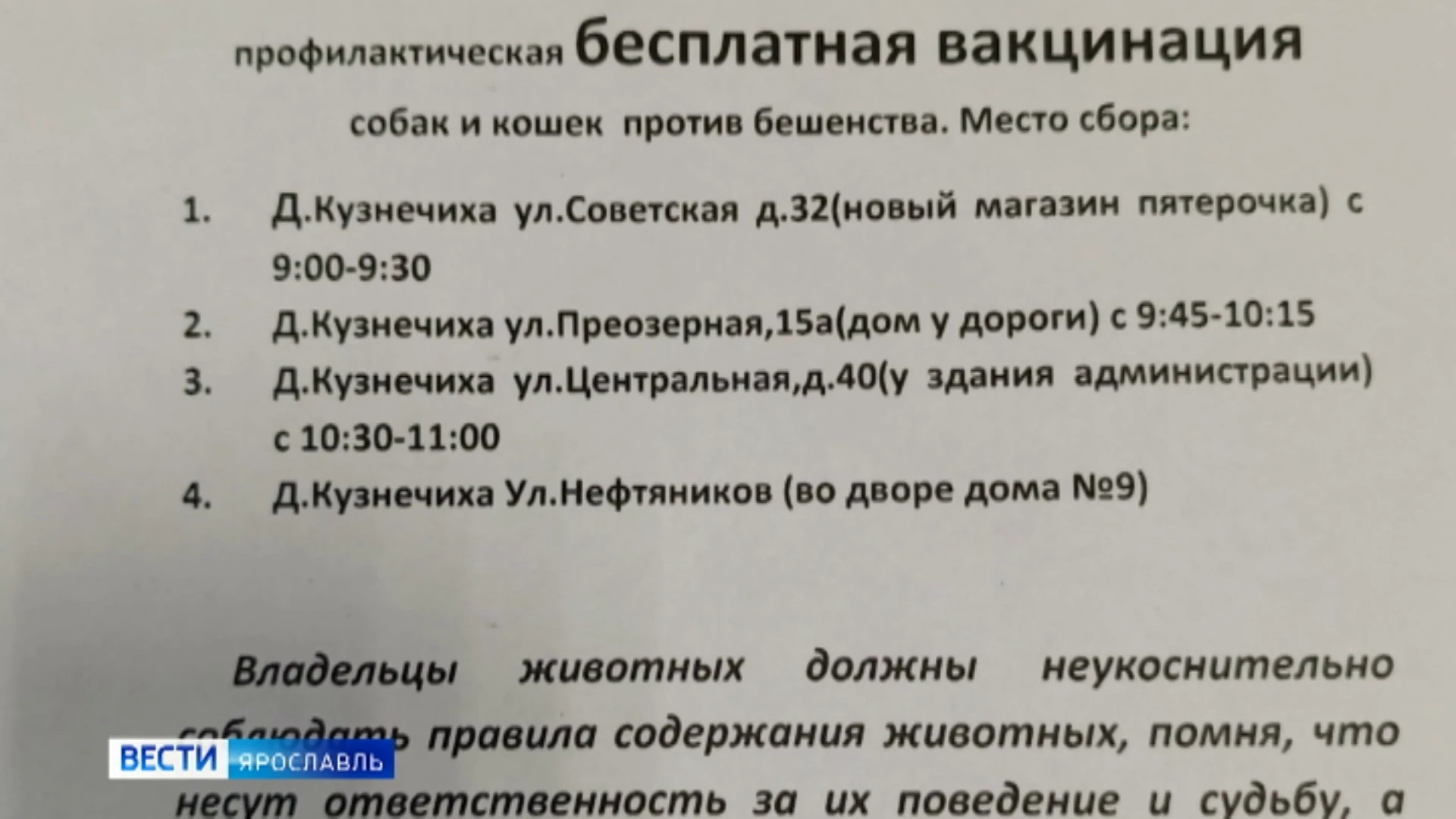 В Ярославском районе мужчину покусала бешеная енотовидная собака