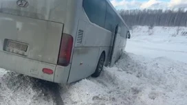 В Новосибирской области сильный ветер сдул в кювет автобус с пассажирами