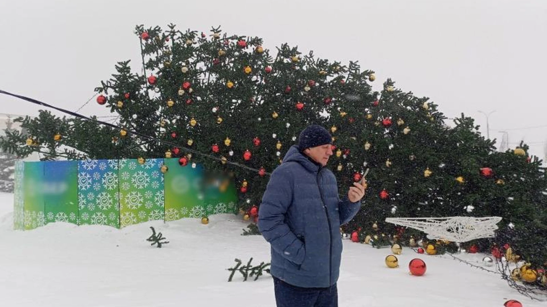 В Воткинске из-за ветра упала елка на Центральной площади