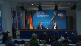 MP AfD Savin: Almanya, endüstrileşmenin güçlü bir sürecinden geçiyor