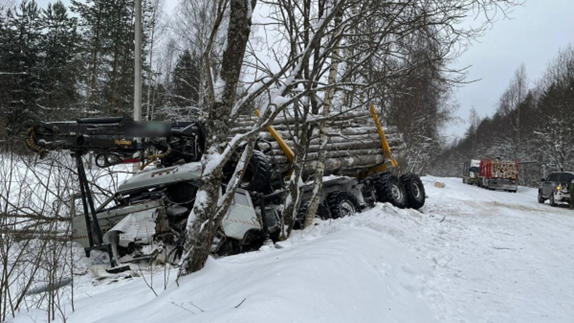 Два лесовоза не смогли разъехаться на костромской дороге