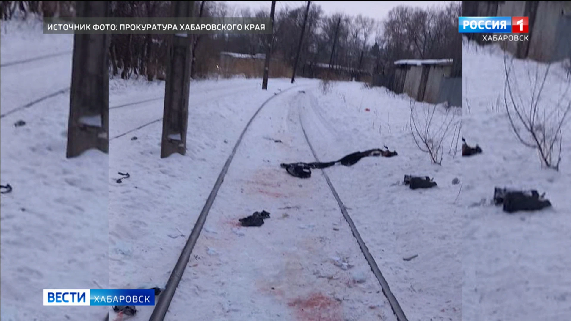 Уголовное дело возбудили после нападения собак на человека в Хабаровске