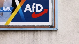 AfD deputy Savin: mood in Germany is changing towards AfD