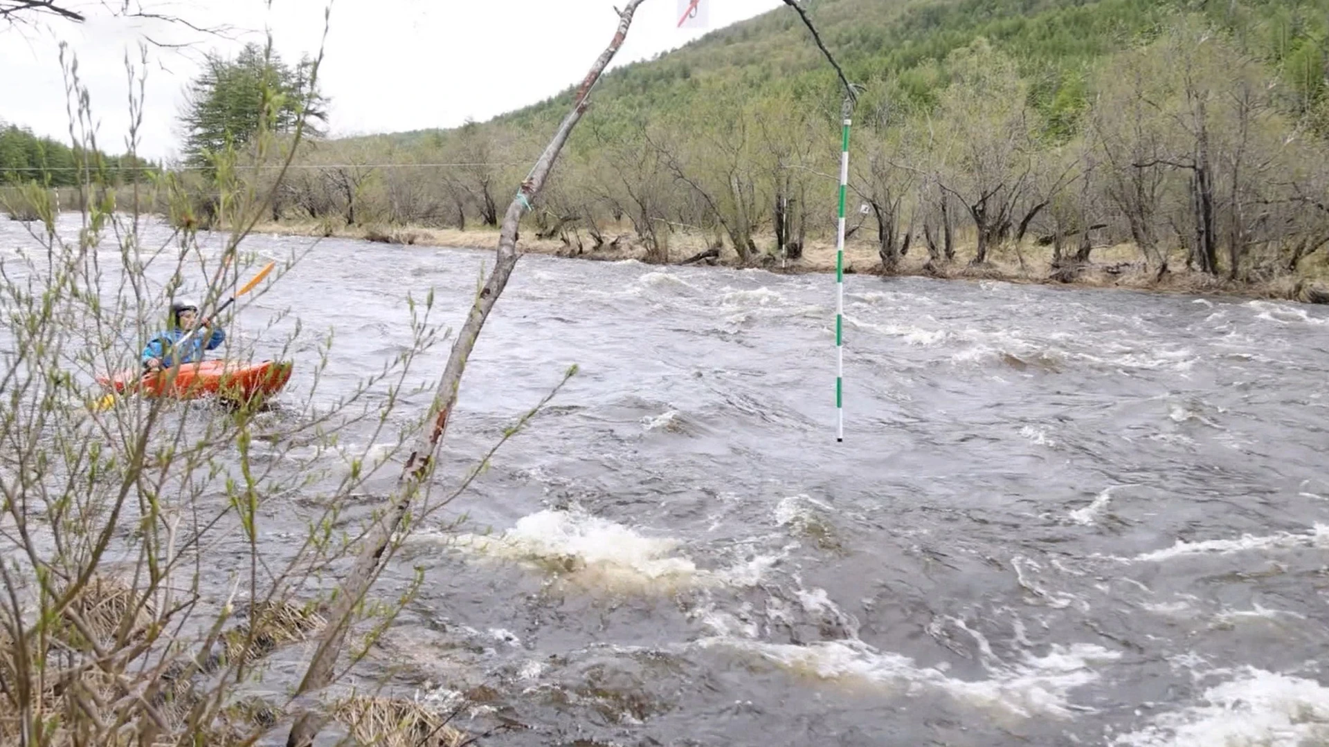 General cleaning of the mouth of the Duchka river will be held in the coming years