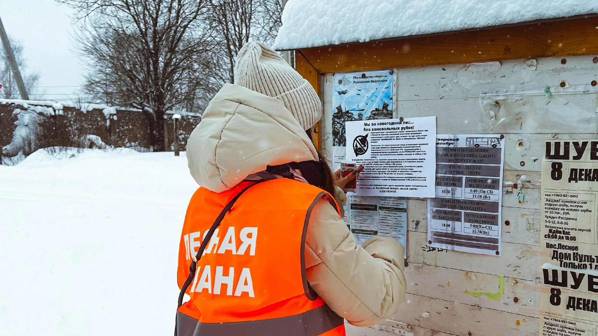 Более 430 рейдов по охране хвойных деревьев прошли за год в Тверской области