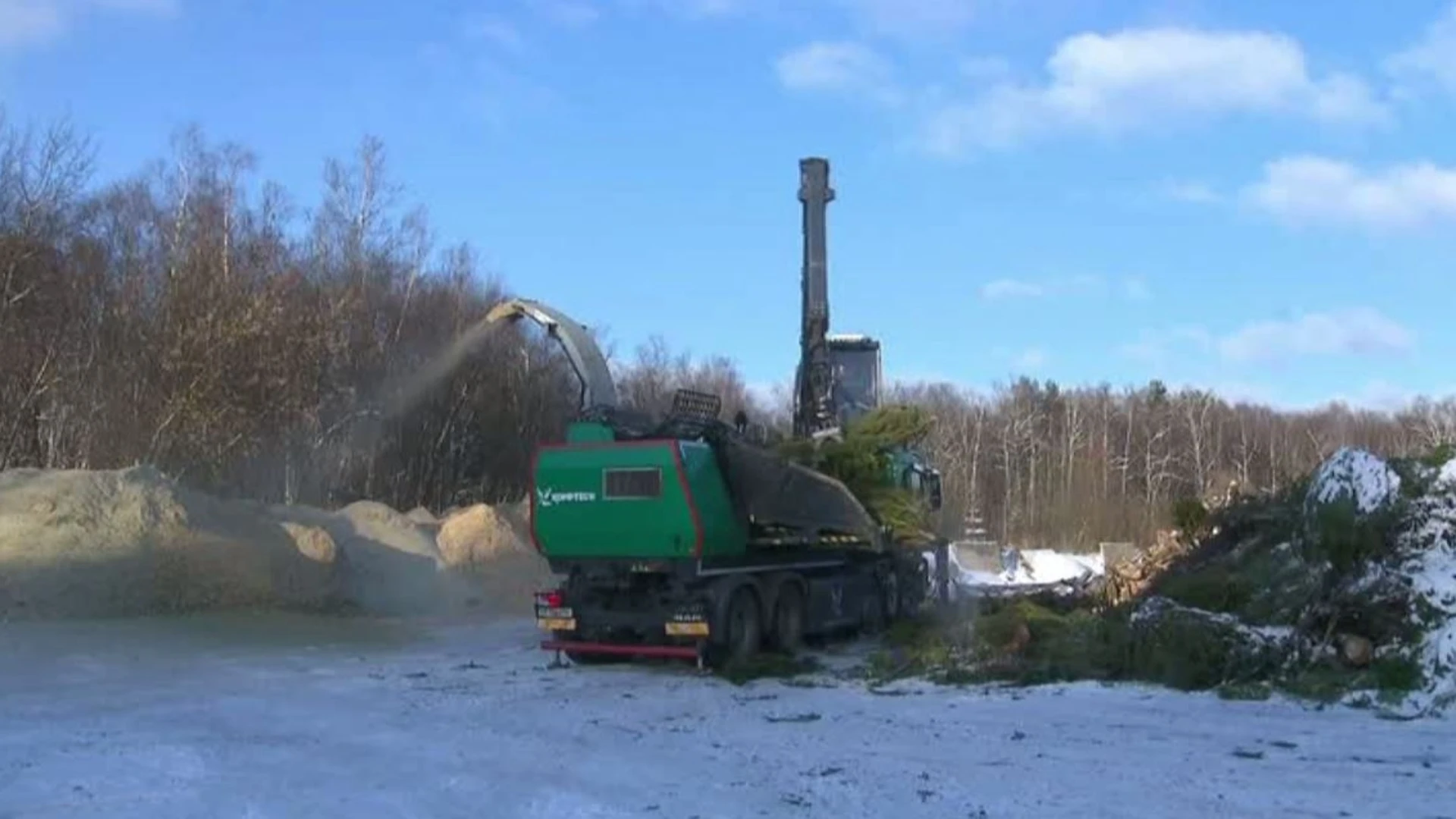 На Кубани принимают на переработку новогодние елки