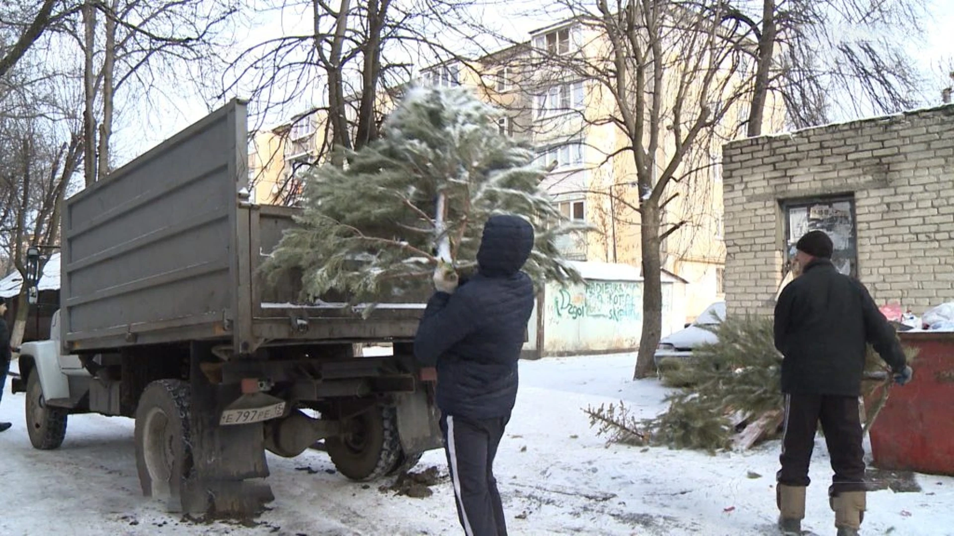 Компания-регоператор "ЭРА" начала масштабный вывоз выброшенных ёлок для дальнейшей переработки