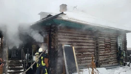 Семь пожаров зафиксировано в Тюменской области за минувшие сутки