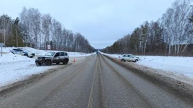 Пенсионерку и ребенка сбили на дороге в Ижевске