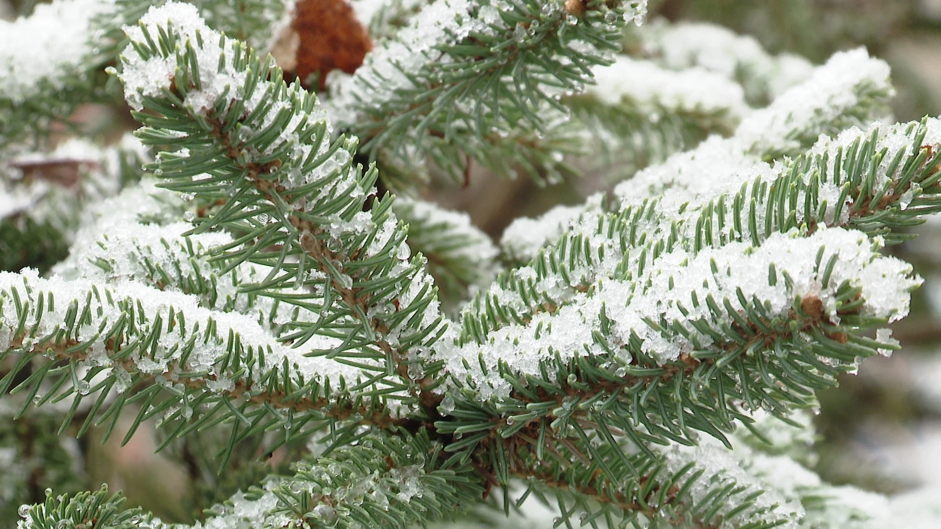 In Yaroslavl fiel der Schnee und ein starker Wind kommt