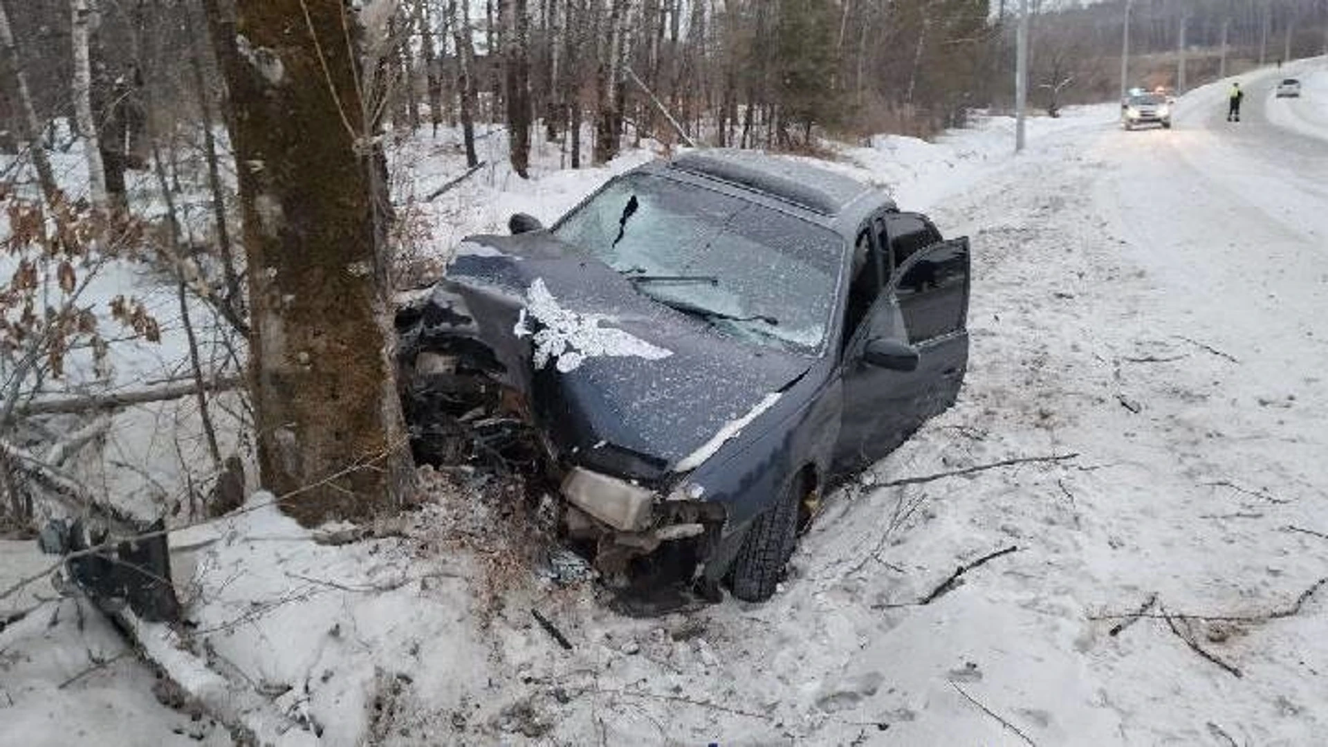 Два человека погибли на амурских дорогах в первый день нового года