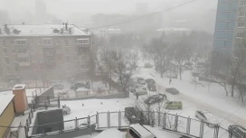 Des camions avec des cargaisons pour Sakhaline se sont accumulés dans le port de Khabarovsk en raison des tempêtes en mer.