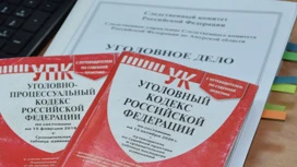 A resident of Belogorsk will stand trial for attempting to abduct his ex-wife.