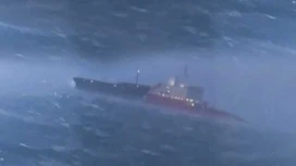 Tanker and cargo ship collided in the Black Sea