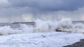 В Сочи и Сириусе прогнозируют усиление ветра