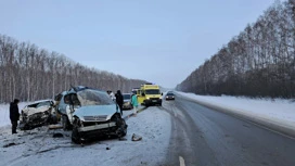 При столкновении автомобилей на Чуйском тракте погибли три человека