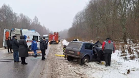 В ДТП с маршруткой в Тульской области пострадали 10 человек