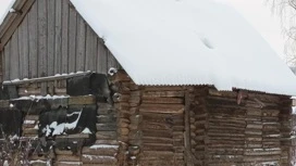 В Удмуртии жильцов аварийного дома не могут расселить уже девять лет