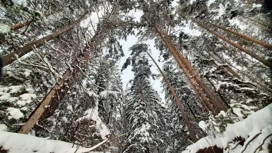 21 Şubat'ta Udmurtia'da yağmur olmadan hava bekleniyor