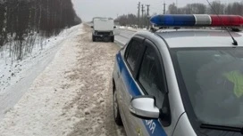 Автополицейские выручили водителя на костромской трассе