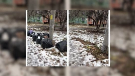 En el distrito de Leninsky de Krasnoyarsk, se retira la basura