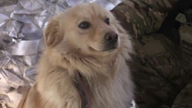 The fighter “Vostok” told how the front dog helps in working with the UAV Supercam