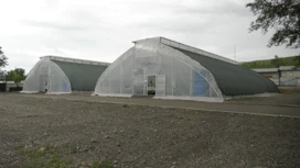 This year, two more mini-greenhouses will be built in the region for growing seedlings with a closed root system.