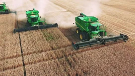 CCI: grain harvest in Russia in 2025 will not exceed 120 million tons