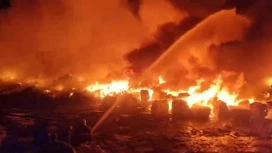 Fuego en la región de Kaluga localizado en un área de 1,2 mil metros cuadrados