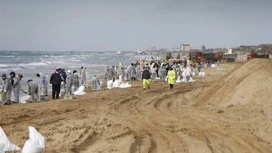 За ликвидацией разлива мазута в Черном море будет следить правительственная комиссия