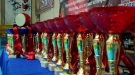 In Krasnoyarsk, the regional Kyokushin Kai championship for boys and girls under fifteen took place.