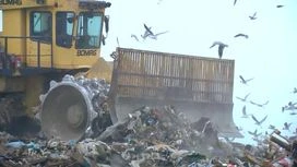 At the city dump in Barnaul found two coffins and artificial flowers