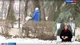 Prognose für die Masleniza-Woche: In der Region Lipezk wird es windig und ziemlich warm sein.